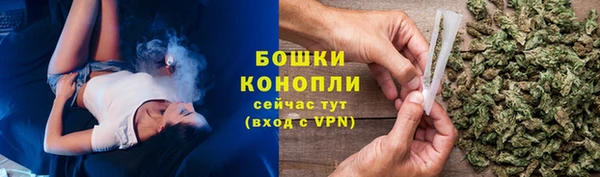 метадон Няндома