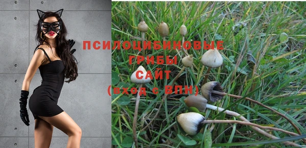 MDMA Нязепетровск