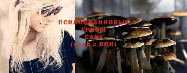 соль курить ск Арсеньев